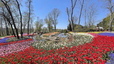 Emirgan, istanbul, Türkiye 20.2022 İstanbul Lale Festivali. İstanbul 'da lale sezonu temalı park ve bahçelerde festival düzenlendi. İstanbul 'daki Emirgan koruluğundan ve Nisan ayındaki lale festivali manzarası
