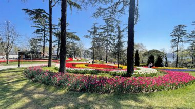 Emirgan, istanbul, Türkiye 20.2022 İstanbul Lale Festivali. İstanbul 'da lale sezonu temalı park ve bahçelerde festival düzenlendi. İstanbul 'daki Emirgan koruluğundan ve Nisan ayındaki lale festivali manzarası