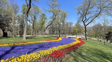 Emirgan, istanbul, Türkiye 20.2022 İstanbul Lale Festivali. İstanbul 'da lale sezonu temalı park ve bahçelerde festival düzenlendi. İstanbul 'daki Emirgan koruluğundan ve Nisan ayındaki lale festivali manzarası