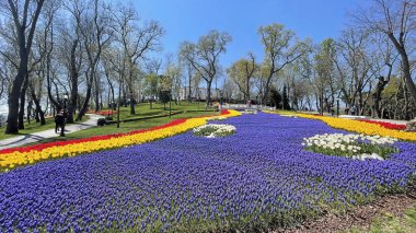 Emirgan, istanbul, Türkiye 20.2022 İstanbul Lale Festivali. İstanbul 'da lale sezonu temalı park ve bahçelerde festival düzenlendi. İstanbul 'daki Emirgan koruluğundan ve Nisan ayındaki lale festivali manzarası