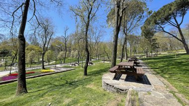 Emirgan, istanbul, Türkiye 20.2022 İstanbul Lale Festivali. İstanbul 'da lale sezonu temalı park ve bahçelerde festival düzenlendi. İstanbul 'daki Emirgan koruluğundan ve Nisan ayındaki lale festivali manzarası