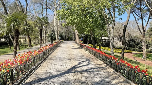 Emirgan Istanbul Türkei April 2022 Istanbul Tulpenfest Festival Das Parks — Stockfoto