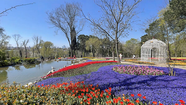 Emirgan,istanbul,Turkey.April 20,2022.Istanbul Tulip Festival. Festival held in parks and groves in Istanbul with the theme of tulip season. Tulip festival views from Emirgan grove in Istanbul and in April