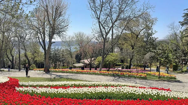 Emirgan Istanbul Turkey April 2022 Istanbul Tulip Festival Festival Held — ストック写真