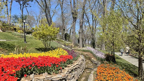 Emirgan, istanbul, Türkiye 20.2022 İstanbul Lale Festivali. İstanbul 'da lale sezonu temalı park ve bahçelerde festival düzenlendi. İstanbul 'daki Emirgan koruluğundan ve Nisan ayındaki lale festivali manzarası