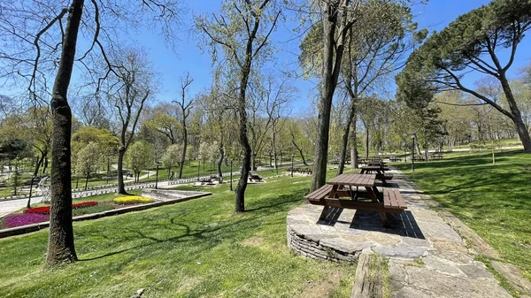 Emirgan, istanbul, Türkiye 20.2022 İstanbul Lale Festivali. İstanbul 'da lale sezonu temalı park ve bahçelerde festival düzenlendi. İstanbul 'daki Emirgan koruluğundan ve Nisan ayındaki lale festivali manzarası