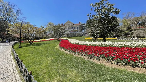 Emirgan, istanbul, Türkiye 20.2022 İstanbul Lale Festivali. İstanbul 'da lale sezonu temalı park ve bahçelerde festival düzenlendi. İstanbul 'daki Emirgan koruluğundan ve Nisan ayındaki lale festivali manzarası