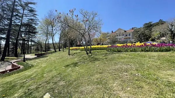 Emirgan Estambul Turquía Abril22 Festival Tulipanes Estambul Festival Realizado Parques — Foto de Stock