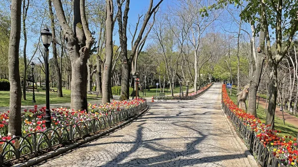 Emirgan, istanbul, Türkiye 20.2022 İstanbul Lale Festivali. İstanbul 'da lale sezonu temalı park ve bahçelerde festival düzenlendi. İstanbul 'daki Emirgan koruluğundan ve Nisan ayındaki lale festivali manzarası