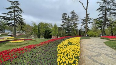 30 bin 2022 Emirgan Korusu, İstanbul 'un Saryer ilçesine bağlı bir koruluktur. Laleleri ve yeşil doğasıyla ünlüdür. Bahar mevsiminde muhteşem manzarası olan Emirgan koruluğu..