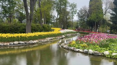 30 bin 2022 Emirgan Korusu, İstanbul 'un Saryer ilçesine bağlı bir koruluktur. Laleleri ve yeşil doğasıyla ünlüdür. Bahar mevsiminde muhteşem manzarası olan Emirgan koruluğu..