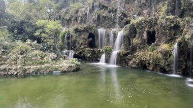 30 bin 2022 Emirgan Korusu, İstanbul 'un Saryer ilçesine bağlı bir koruluktur. Laleleri ve yeşil doğasıyla ünlüdür. Bahar mevsiminde muhteşem manzarası olan Emirgan koruluğu..