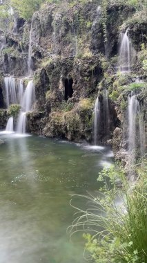 30 bin 2022 Emirgan Korusu, İstanbul 'un Saryer ilçesine bağlı bir koruluktur. Laleleri ve yeşil doğasıyla ünlüdür. Bahar mevsiminde muhteşem manzarası olan Emirgan koruluğu..