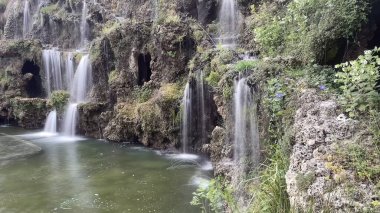 30 bin 2022 Emirgan Korusu, İstanbul 'un Saryer ilçesine bağlı bir koruluktur. Laleleri ve yeşil doğasıyla ünlüdür. Bahar mevsiminde muhteşem manzarası olan Emirgan koruluğu..