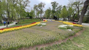 30 bin 2022 Emirgan Korusu, İstanbul 'un Saryer ilçesine bağlı bir koruluktur. Laleleri ve yeşil doğasıyla ünlüdür. Bahar mevsiminde muhteşem manzarası olan Emirgan koruluğu..