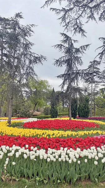 30 bin 2022 Emirgan Korusu, İstanbul 'un Saryer ilçesine bağlı bir koruluktur. Laleleri ve yeşil doğasıyla ünlüdür. Bahar mevsiminde muhteşem manzarası olan Emirgan koruluğu..