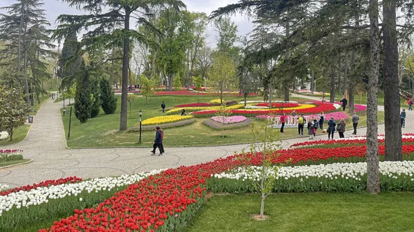 30 bin 2022 Emirgan Korusu, İstanbul 'un Saryer ilçesine bağlı bir koruluktur. Laleleri ve yeşil doğasıyla ünlüdür. Bahar mevsiminde muhteşem manzarası olan Emirgan koruluğu..