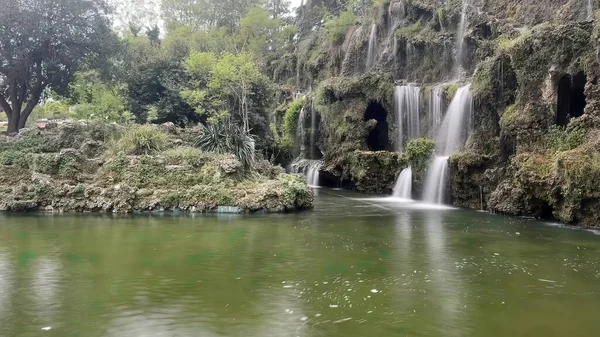 30 bin 2022 Emirgan Korusu, İstanbul 'un Saryer ilçesine bağlı bir koruluktur. Laleleri ve yeşil doğasıyla ünlüdür. Bahar mevsiminde muhteşem manzarası olan Emirgan koruluğu..