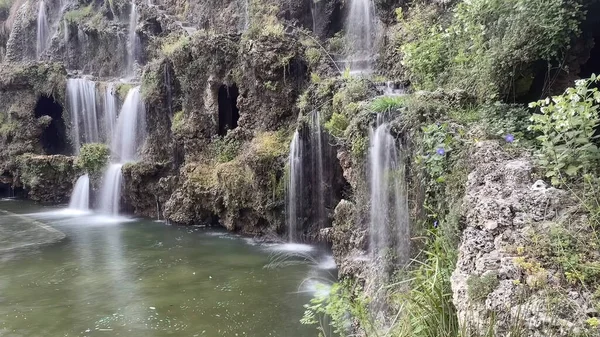 30 bin 2022 Emirgan Korusu, İstanbul 'un Saryer ilçesine bağlı bir koruluktur. Laleleri ve yeşil doğasıyla ünlüdür. Bahar mevsiminde muhteşem manzarası olan Emirgan koruluğu..