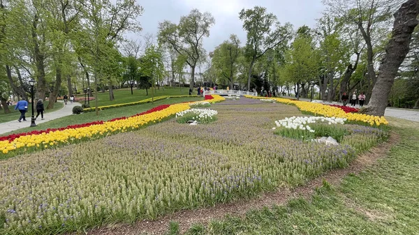 30 bin 2022 Emirgan Korusu, İstanbul 'un Saryer ilçesine bağlı bir koruluktur. Laleleri ve yeşil doğasıyla ünlüdür. Bahar mevsiminde muhteşem manzarası olan Emirgan koruluğu..