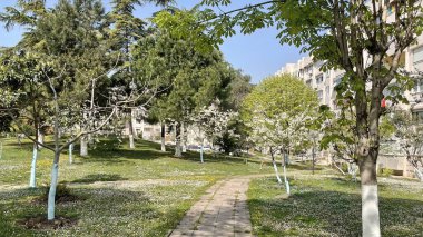 Baharın gelişi ve doğanın uyanışı. Bahar mevsiminde doğadan muhteşem manzaralar..