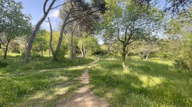 Baharın gelişi ve doğanın uyanışı. Bahar mevsiminde doğadan muhteşem manzaralar..
