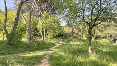 Baharın gelişi ve doğanın uyanışı. Bahar mevsiminde doğadan muhteşem manzaralar..
