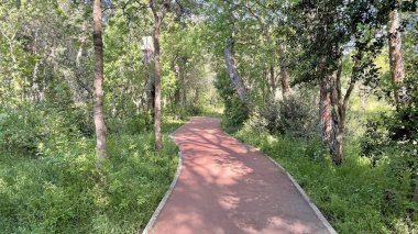 Baharın gelişi ve doğanın uyanışı. Bahar mevsiminde doğadan muhteşem manzaralar..