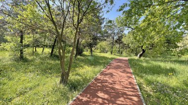 Baharın gelişi ve doğanın uyanışı. Bahar mevsiminde doğadan muhteşem manzaralar..