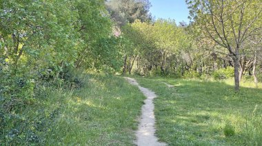 Baharın gelişi ve doğanın uyanışı. Bahar mevsiminde doğadan muhteşem manzaralar..