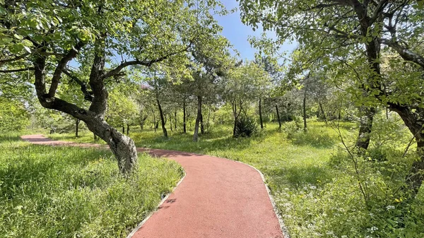 Baharın gelişi ve doğanın uyanışı. Bahar mevsiminde doğadan muhteşem manzaralar..