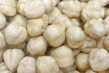 Fındık yemeye hazır olun. 