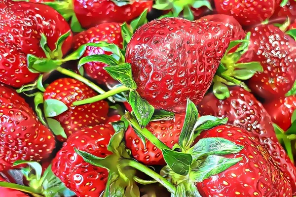 Strawberry One Most Delicious Fruits Summer Season — Stockfoto