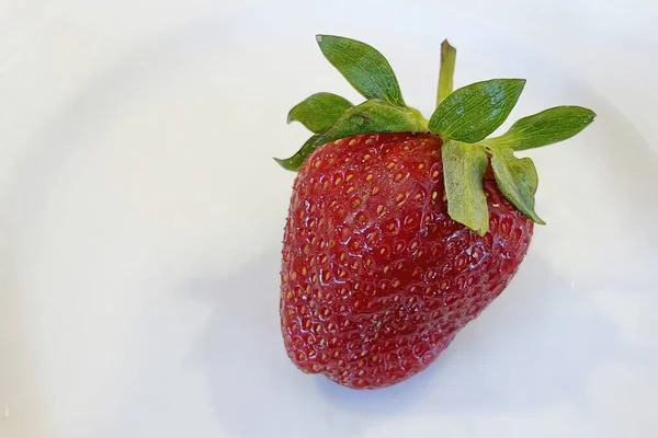 Strawberry One Most Delicious Fruits Summer Season — Stock Photo, Image