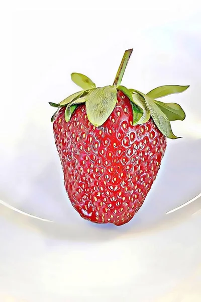 Erdbeere Eine Der Köstlichsten Früchte Der Sommersaison — Stockfoto
