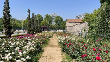 Atakoy, İstanbul, Türkiye. 28 Mayıs 2022. Atakoy Baruthane kamu parkı iç mekanı ve İstanbul 'daki Gül Bahçesi..