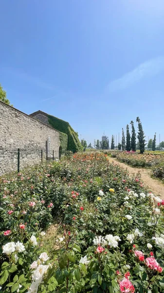 Atakoy Istanbul Turchia Maggio 2022 Atakoy Baruthane Parco Pubblico Vista — Foto Stock