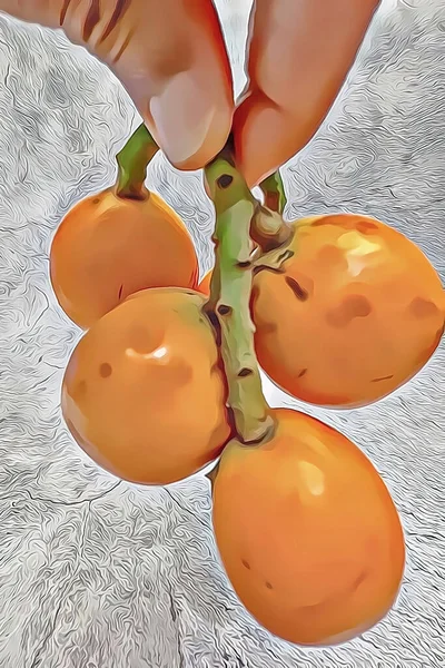 Κοντινό Πλάνο Έτοιμο Φάει Φρούτα Loquat Στο Παρασκήνιο — Φωτογραφία Αρχείου