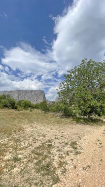 Harmankoy, Bilecik, 9 Haziran 2022, Harmankaya Kanyonu sınırındaki doğal güzellikleri ile Harmankaya Köyü, Bilecik, Türkiye