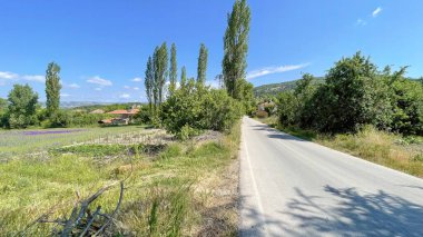 Sakarya, Türkiye. 9 Haziran 2022 Anadolu coğrafyası. Türkiye 'de Sakarya ve Bilecik sınırları içinde yeşil doğa manzarası.