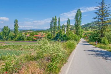 Sakarya, Türkiye. 9 Haziran 2022 Anadolu coğrafyası. Türkiye 'de Sakarya ve Bilecik sınırları içinde yeşil doğa manzarası.