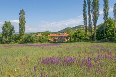 Sakarya, Türkiye. 9 Haziran 2022 Anadolu coğrafyası. Türkiye 'de Sakarya ve Bilecik sınırları içinde yeşil doğa manzarası.