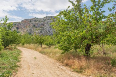 Harmankoy, Bilecik, 9 Haziran 2022, Harmankaya Kanyonu sınırındaki doğal güzellikleri ile Harmankaya Köyü, Bilecik, Türkiye