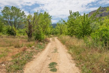 Harmankoy, Bilecik, 9 Haziran 2022, Harmankaya Kanyonu sınırındaki doğal güzellikleri ile Harmankaya Köyü, Bilecik, Türkiye