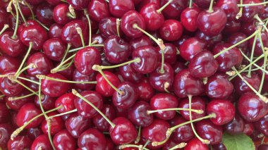 Organik tarım. Kiraz meyvesi yazın en lezzetli meyvelerinden biridir..