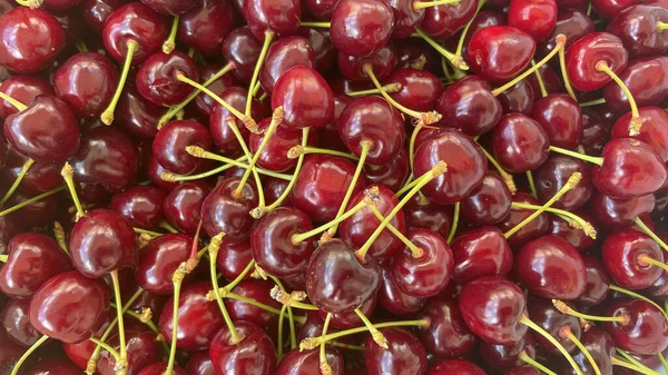 Organic Farming Cherry Fruit One Most Delicious Fruits Summer — Stock Photo, Image