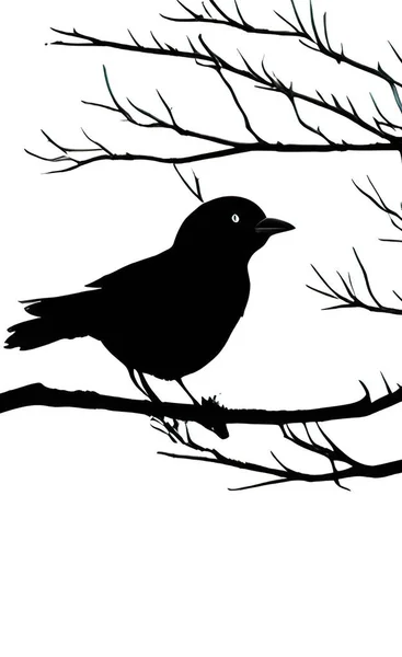 Bird Silhouette Tree Branches Nature — Stock vektor