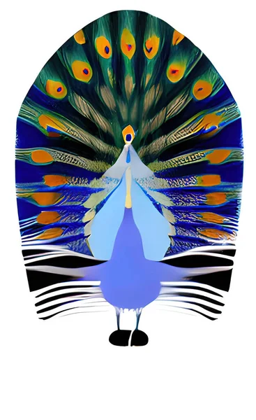 Close Peacock Feathers Nature —  Vetores de Stock