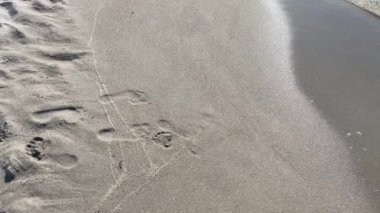 Yaz sıcağı, sahil ve açık deniz arka plan ve yaz tatili için