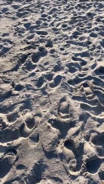 Walking Beach Sand Summer — Wideo stockowe